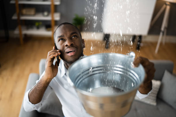 Best Flood restoration services  in Avimor, ID