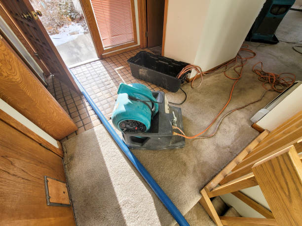 Best Water damage contractors near me  in Avimor, ID