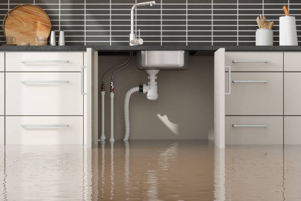 Best Ceiling water damage repair  in Avimor, ID