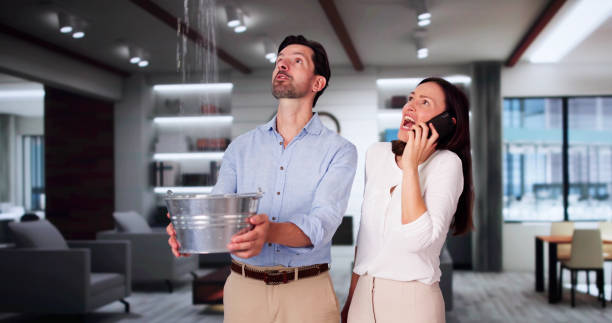 Best Professional water damage repair  in Avimor, ID